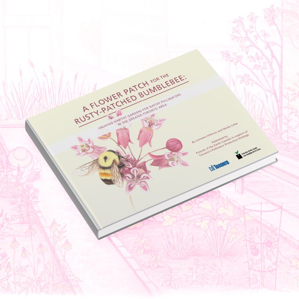 Protect native bees by planting native plants in the Greater Toronto Area – says new e-guide