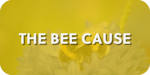 Native Bees in Canada pollinating flowers - The Bee Cause Campaign Page