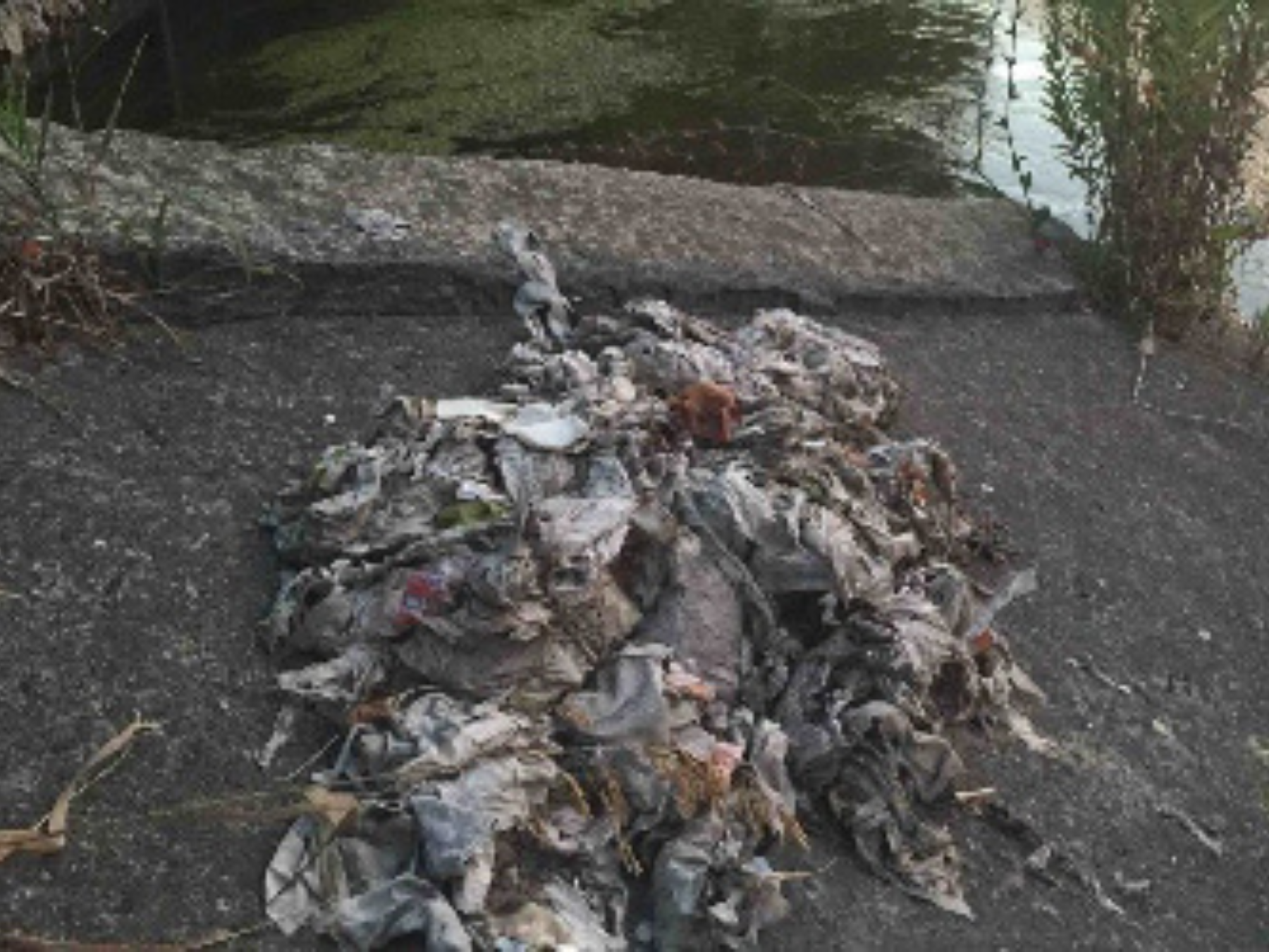 A picture of baby wipes claimed to be flushable that ended up in a body of water.