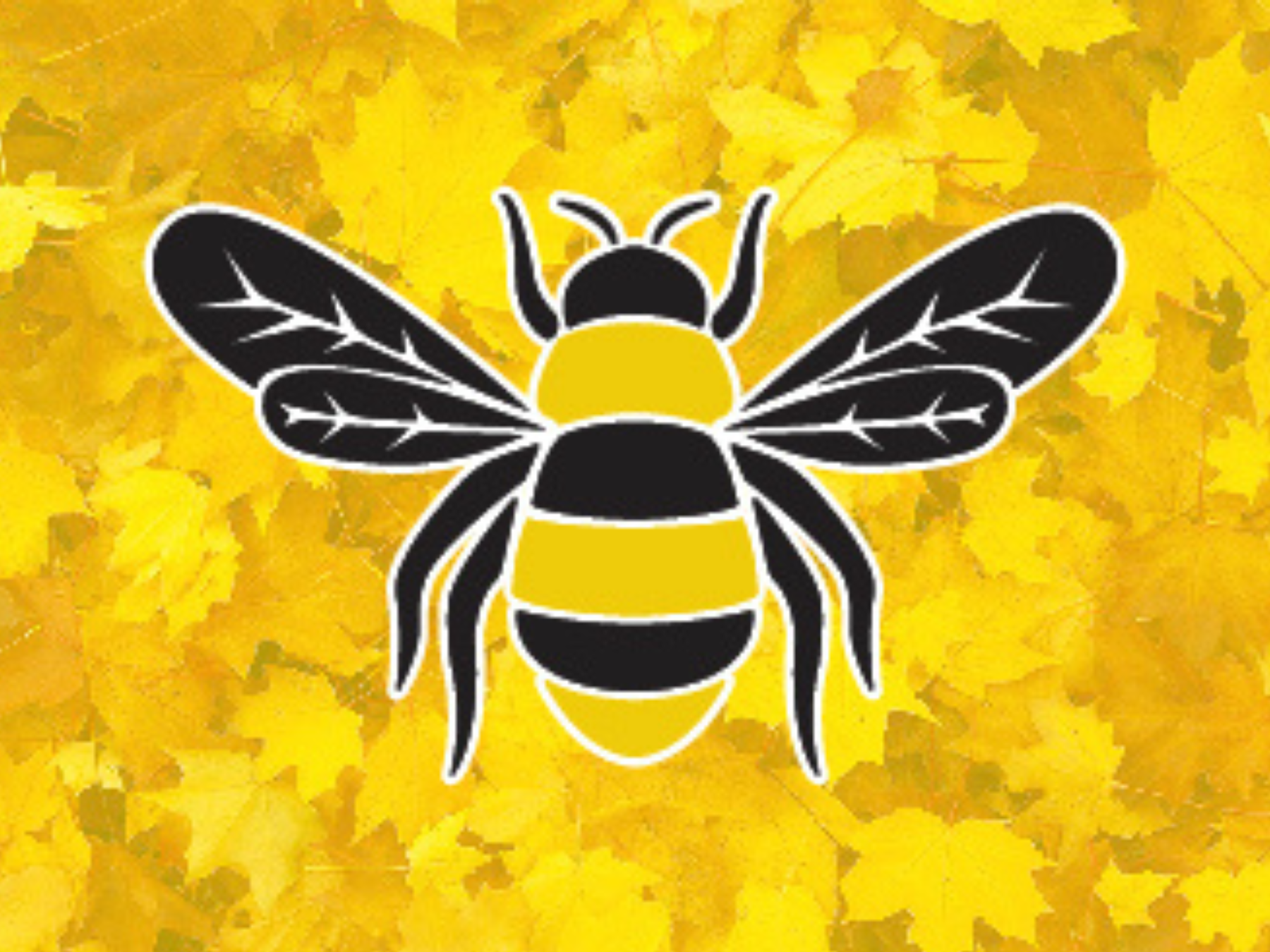 A graphic illustration of a bumblebee with black and yellow stripes, set against a background of yellow maple leaves.