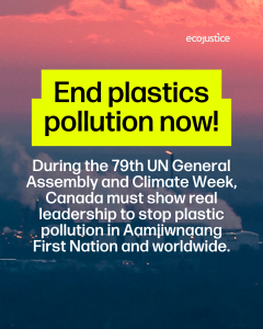 During the 79th UN General Assembly and Climate Week, Canada must show real leadership to stop plastics pollution in Aamjiwnaang First Nation and worldwide.