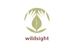 wiIldsight