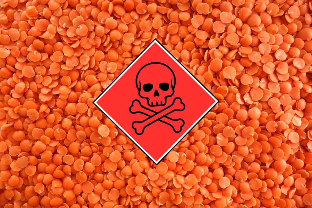 Background of red lentils with a red square with the toxic skull and crossbones symbol inside.